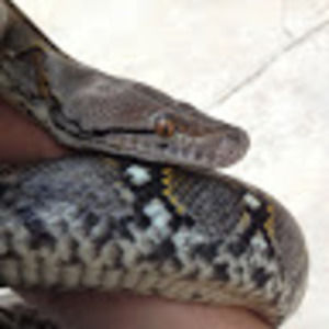 Meet your Posher, Jenn